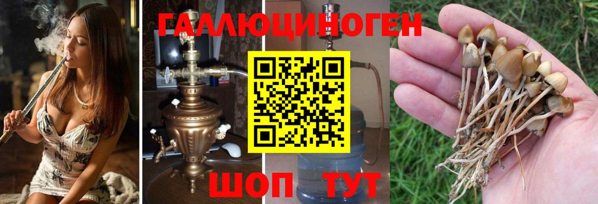 Галлюциногенные грибы Psilocybe  Псилоцибиновые грибы MAGIC MUSHROOMS  Учалы  Вход с VPN 